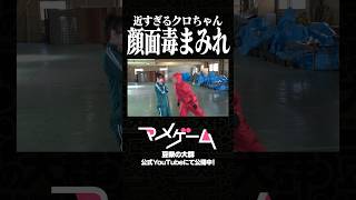 【近すぎるクロちゃん】マメゲーム Ep2 「型抜き」&「飛び石ゲーム」 #クロちゃん #豆柴の大群 #イカゲーム #豆tube