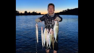 Discovery park shad fishing using Get Crushed Baits!