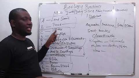 NECO 2023 Biology practical | SPECIMEN C AND D CONTINUATION | UNEDITED VIDEO
