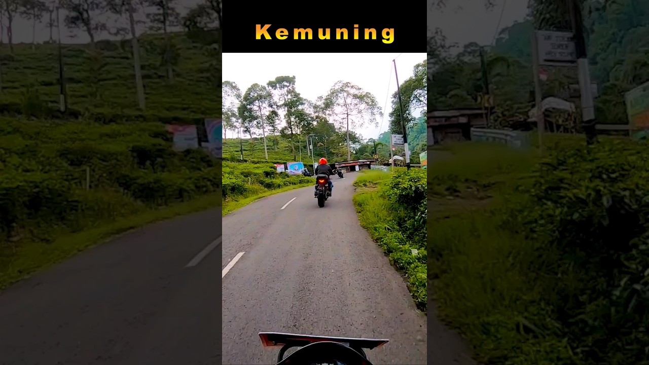 Jalan Indah Kebun Teh Kemuning Karanganyar