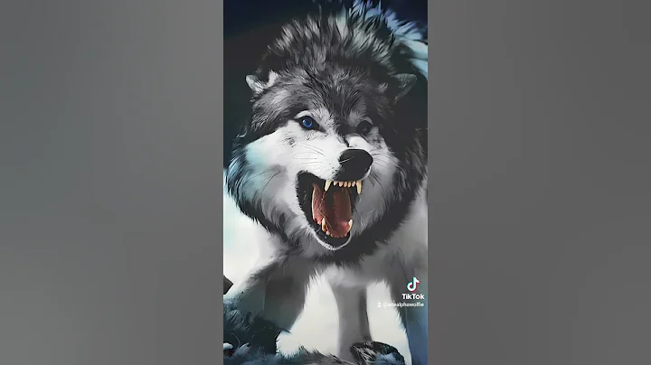 Patrick Lykins On My Own #music