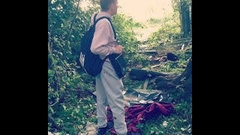 Rxseboy,  Powfu & JMC - deeper than before ( ft . Julia Alexa )