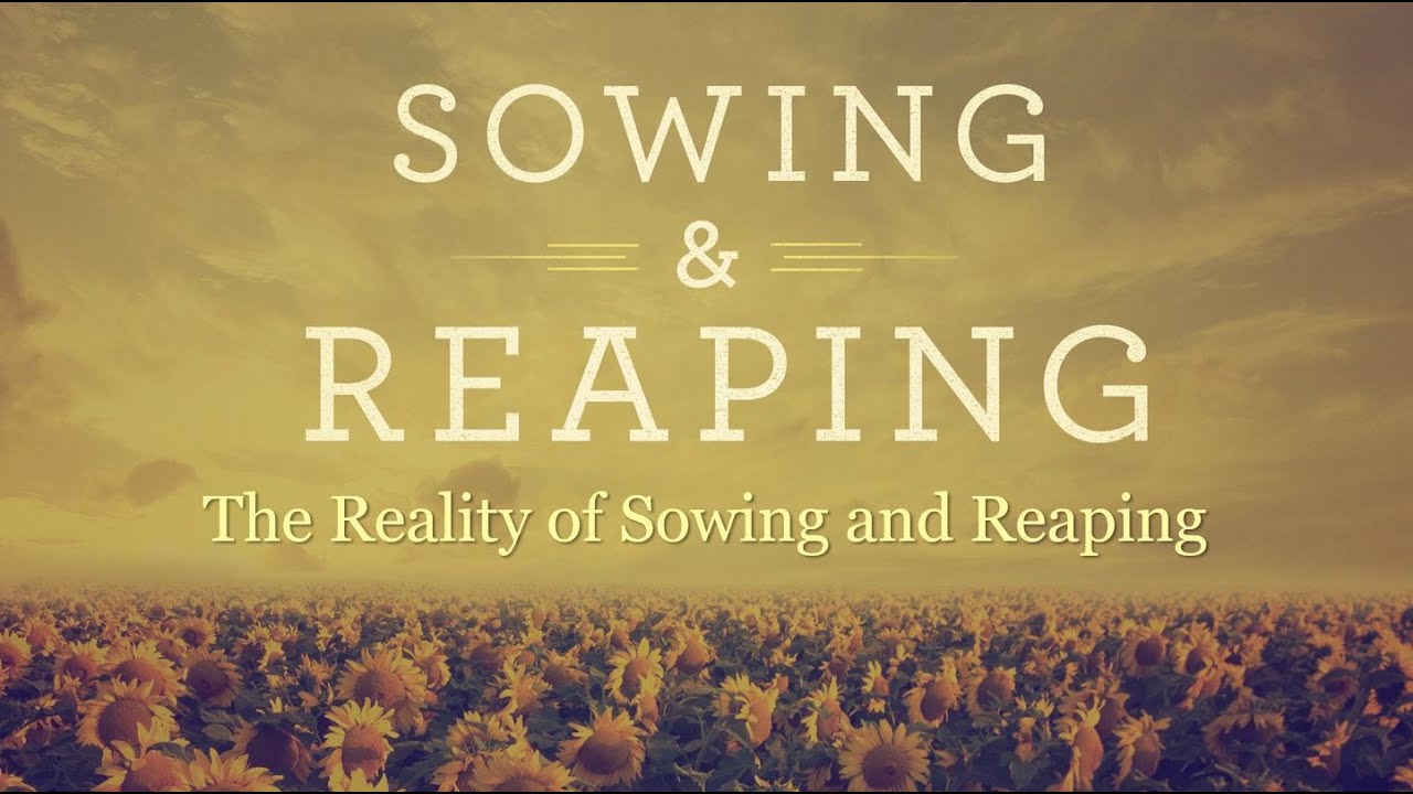 Sowing and Reaping: The Reality of Sowing and Reaping - YouTube