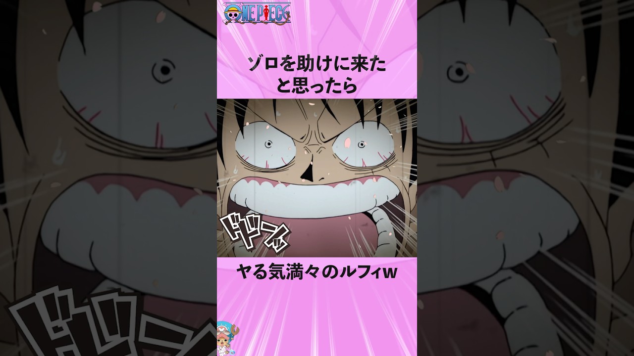 ゾロを助けに来たと思ったらヤる気満々のルフィw #onepiece #ワンピース #アニメ #雑学