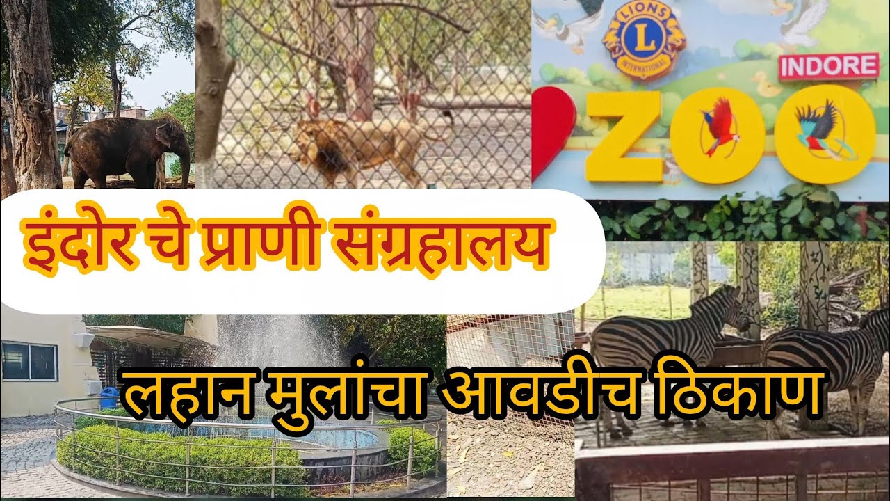 प्राणी संग्रहालय इंदोर मधला एवढा मोठा 😱 लहान मुलांच्या आवडीचे ठिकाण 🤗
