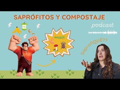 Video: ¿Qué significa el prefijo sapro?