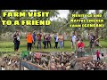 MANOKAN NG ATING KAIBIGAN | PASYAL SA BUKID SA GENSAN | HERITAGE AND NATIVE CHICKEN FARM |FARM VISIT