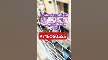 Professional Bird Netting Services In Laxmi Nagar, Delhi । Bird Netting Service near me । 9716060555