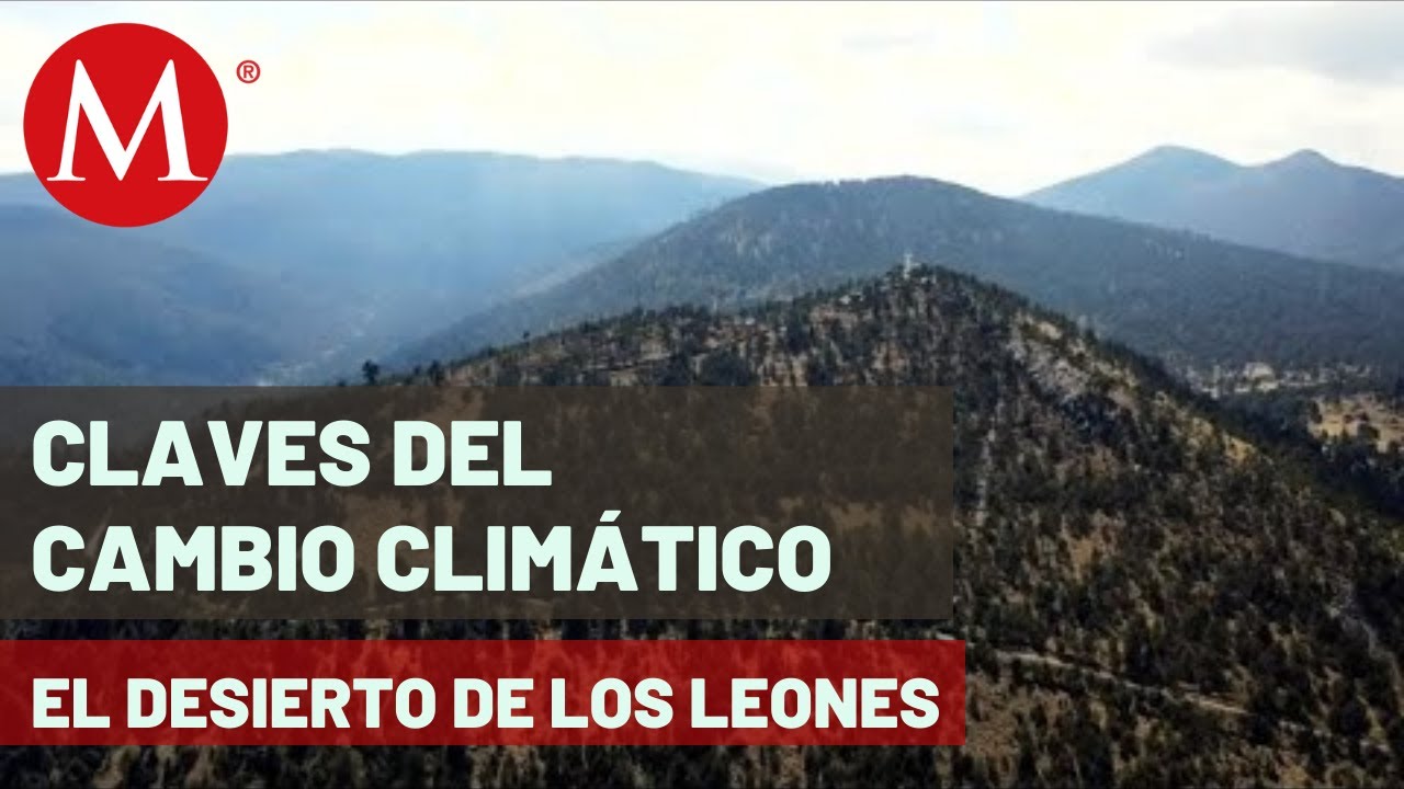 El Desierto de los Leones, hogar de al menos 136 especies de animales |  Claves del cambio climático - YouTube