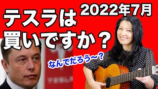 【2022年7月版】「まだテスラ買いですか？」なんでだろう？（TSLA)