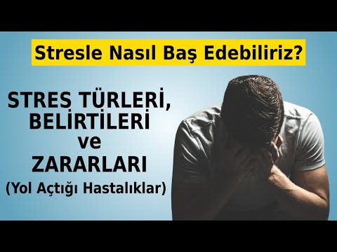 Stressin Növləri, Simptomları, Xəstəlikləri və Stresslə Mübarizə Yolları