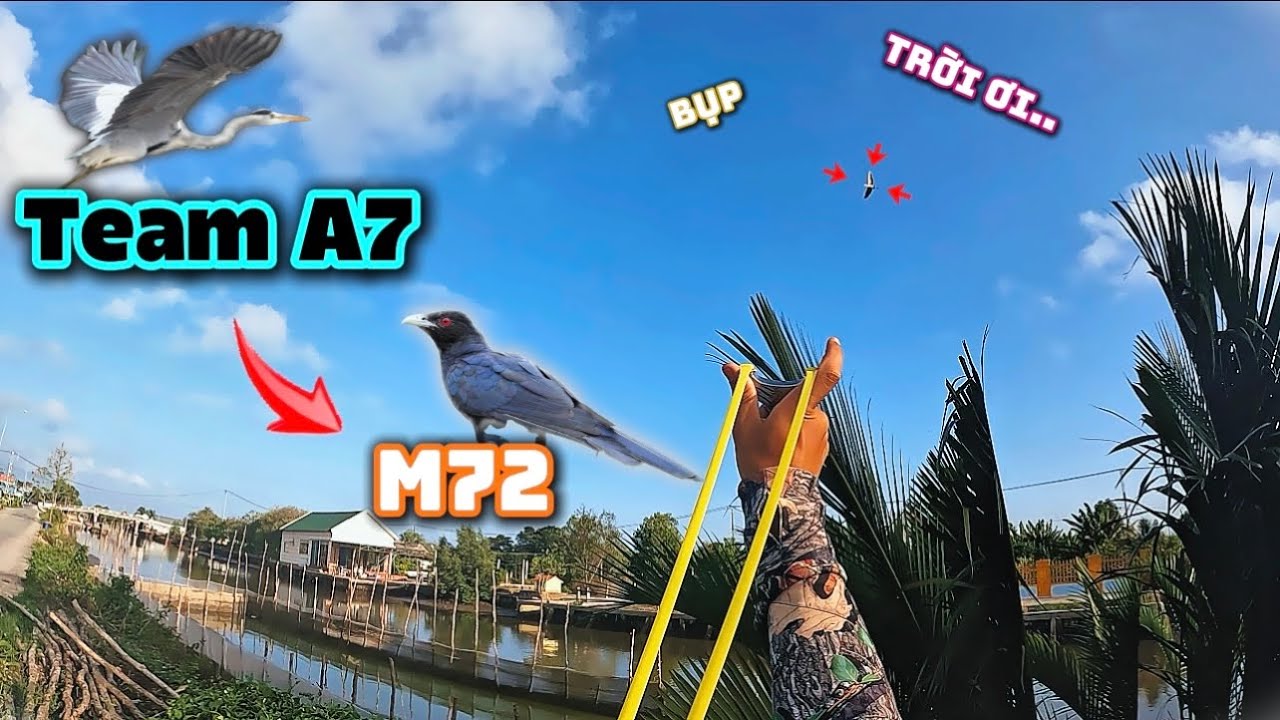 Phượt 200km Cùng Team A7 & M72 Săn Khủng Lồ Bay Và Ẩm Thực Mấy Em Tu Hú Béo Ngậy | Trung Ku Nhí