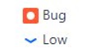bug-report by QA Lead view