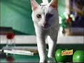 Friskies Ad 2003 Friskies Ad 2003