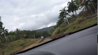 DSCN0767