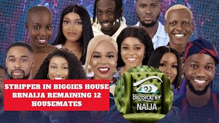 Bbnaija Stripper In Biggies House Meet New Remaining 12 Housemates Big Brother Nigeria Mansion Level