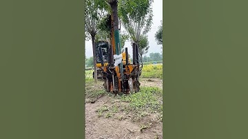 Cỗ máy chuyển nhà cho cây xanh trong 60 giây