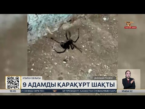 әдемі қоңыр әйел анустары Аса акира лесбиянка