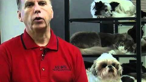 freeze dry pets