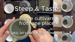 Steep \u0026 Taste: Three Different Cultivars