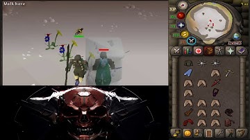 Last Robot Standing | 100% Win Rate | 266-0 WORLD RECORD