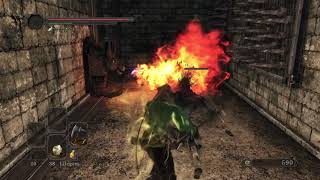 Dark Souls 2 ( and SotFS) infinite Brightbug glitch locations ( READ DESCRIPTION FOR UPDATE!!!)