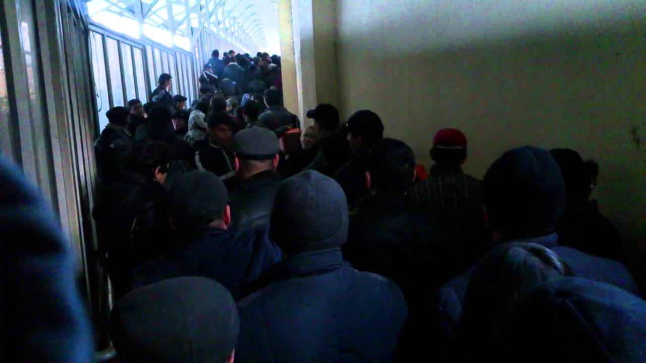 ТАМОЖНИ АЗЕРБАЙДЖАНСКИЙ САМУР СДК