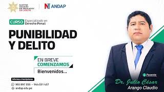 PUNIBILIDAD Y DELITO