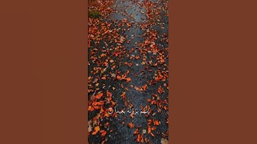 اصبر صبراً جميلاً ✨ | "وَنَرَاهُ قَرِيبًا" | تلاوة تزرع اليقين في قلبك | سورة المعارج