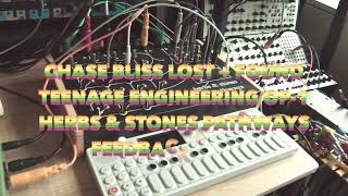 Feedback Patch w/ Lost + Found, OP-1 &amp; Pathways (Filmed on Camp Snap CS8)