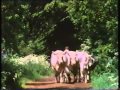 Seventy Summers - The Story of a Farm Pt. 3/5 "Early Days" (BBC 1987)