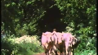 Seventy Summers - The Story of a Farm Pt. 3/5 &quot;Early Days&quot; (BBC 1987)
