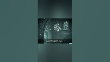 شريف مصطفى سورة الزلزلة