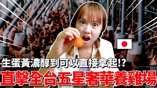 日本女生直擊全台五星奢華養雞場台灣雞蛋比日本還高級!?【Ma的在地小農系列】【我是Mana】