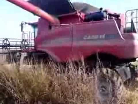 Case ih 8120 harvest rice from greece-New Malgara NO3