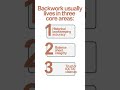 3 Types of Law Firm Financial Backwork