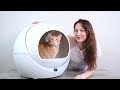 Petree Automatic Self-Cleaning Litter Box Review (We Tried It for 2 Weeks)