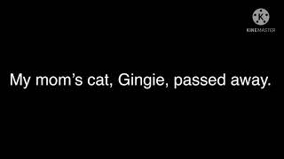 Goodbye Gingie…  (June 8, 2012 - May 27, 2021)