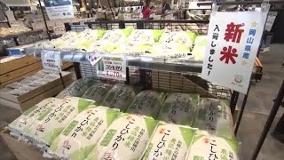 岡山県産「新米」コシヒカリが総社市の店頭に　前年比４割高の価格に消費者は…今後安くなる見通しも　岡山 (25/09/12 18:00)
