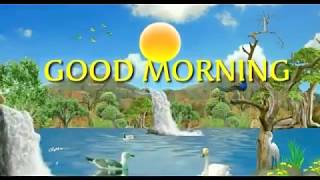 Natural Beautiful GOOD MORNING what's app video screenshot 5