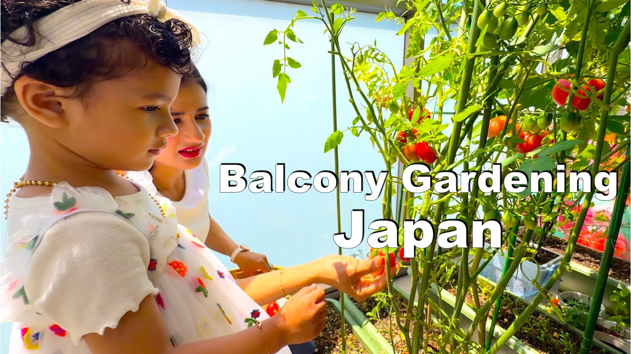 Balcony Gardening in Japanese Apartment | Grow your own food | Life in Japan | Balcony Garden Tour