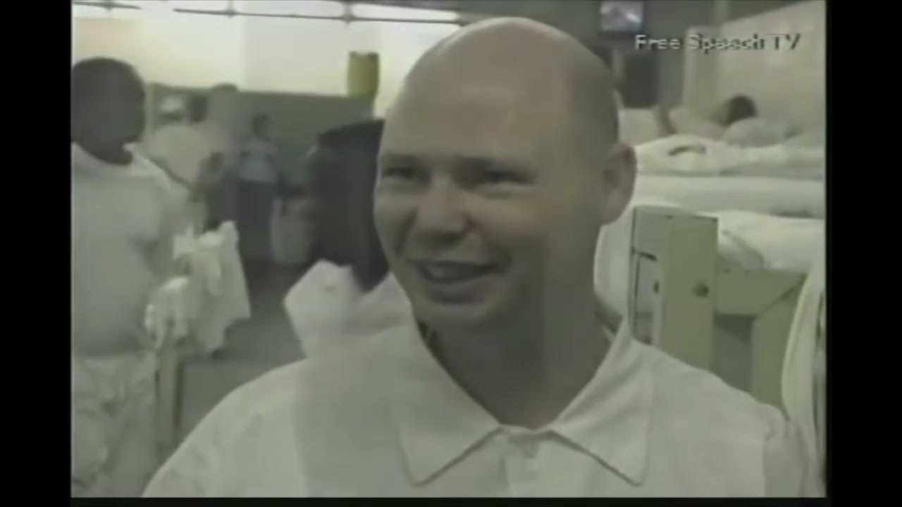 cookies zoo zoos and wham whams YouTube