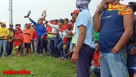 Seru banget lomba merpati balap joki cilik penjarakan probolinggo