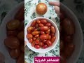 الطماطم الطماطم الشيري الطماطم الكرزية فوائد الطماطم الطماطم الطماطم الشيري الطماطم الكرزية فوائد الطماطم