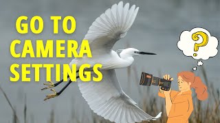 Goto camera settings for bird photography screenshot 2