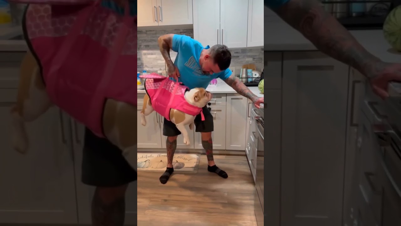 Big Brad Wolf: Leg Day and Doggie Rows