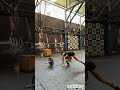 Open 25.1 Perú Challenger 