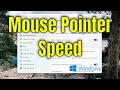 How To Change Mouse Pointer Speed on Windows 11 [Guide]