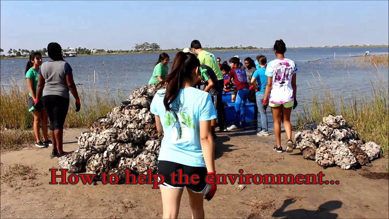 Galveston Oyster Bed Restoration YouTube