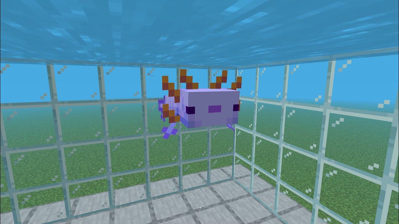 How to spawn a blue axolotl (Minecraft Bedrock) YouTube